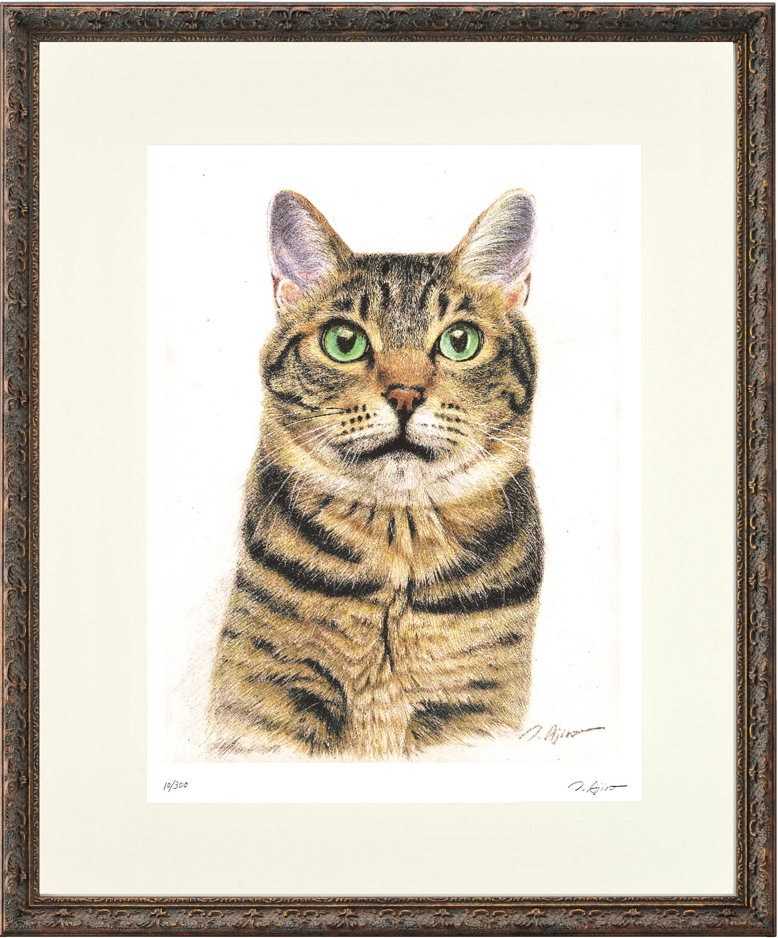 とらねこ トラネコ – FRAME SHIROYAMA