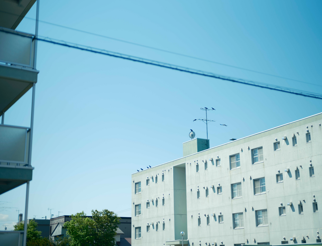 写真とフレームとエトセトラ 第19回