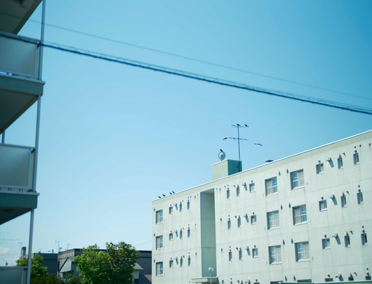 写真とフレームとエトセトラ 第19回