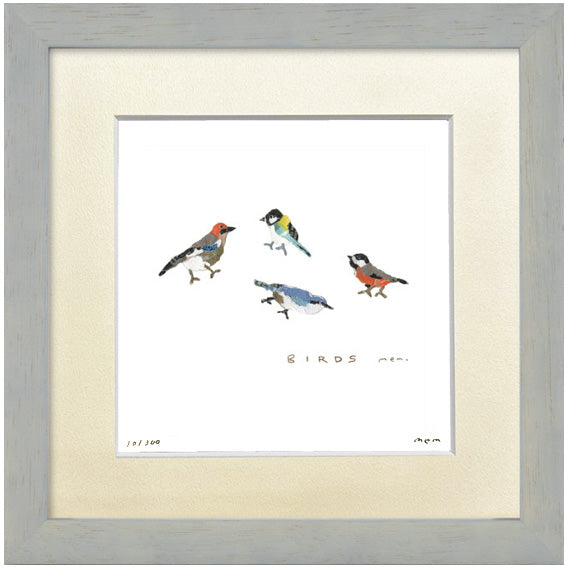 BIRDS